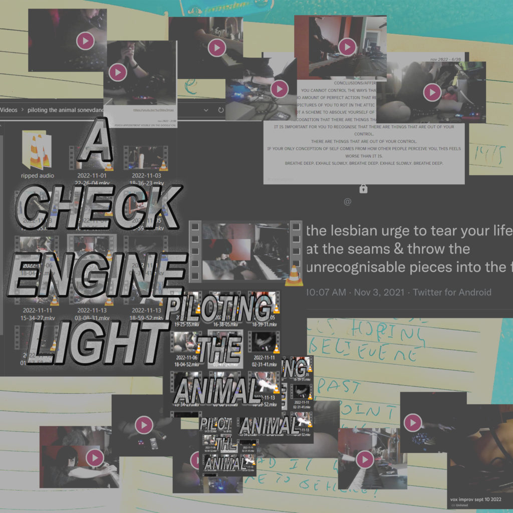 the album cover for "A CHECK ENGINE LIGHT " by piloting the animal
